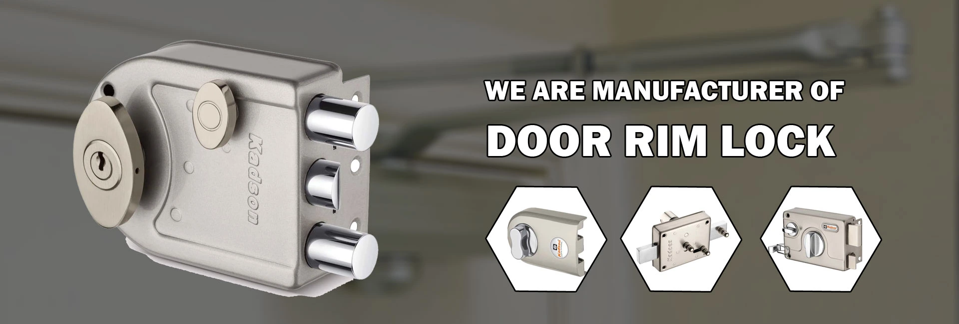 Door Lock Manufacturer & Suppliers - Door Rim Lock, Euro Cylinder Lock